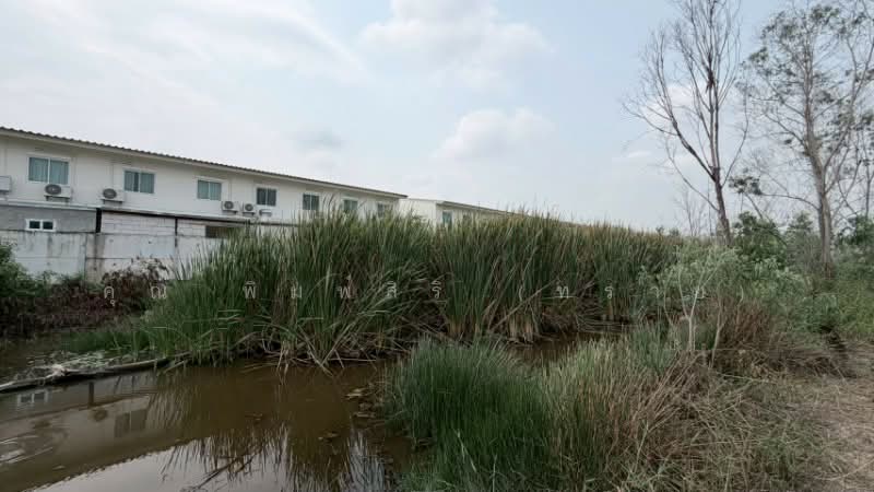 ที่ดินเปล่า 165 ตร.วา คลอง 2 - คลองหลวง ราคาถูก, Pathum Thani, Khlong Song, Khlong Luang, Pathum Thani, , 660 sqm, Land For Sale, by คุณ พิมพ์สิริ (ทราย), 500172664 - DDproperty.com