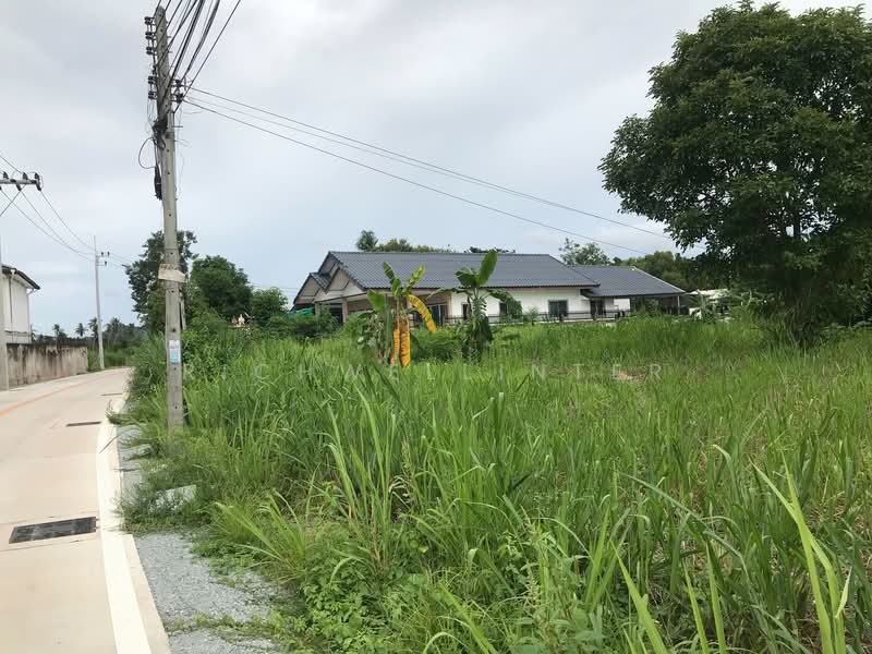 ขายที่ดินนาจอมเทียน พัทยา 212 ตรว. ซอยทุ่งเจ๊กเลี่ยว ใกล้หาดบ้านอำเภอ5กม., ชลบุรี, นาจอมเทียน, สัตหีบ, ชลบุรี, 848 ตร.ม., ที่ดิน ขาย, โดย richwellinter, 500172709 - DDproperty.com