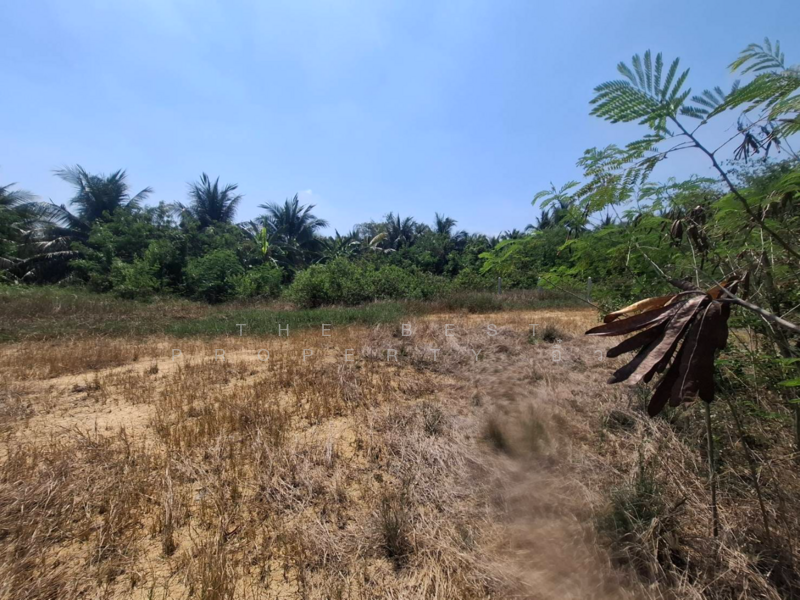 ที่ดินคูบัว ราชบุรี, Ratchaburi, Khu Bua, Muang Ratchaburi, Ratchaburi, , 480 sqm, Land For Sale, by The Best Property อิ๋ว, 500172757 - DDproperty.com