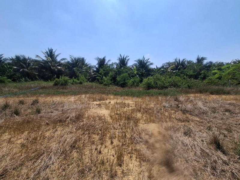 ที่ดินคูบัว ราชบุรี, Ratchaburi, Khu Bua, Muang Ratchaburi, Ratchaburi, , 480 sqm, Land For Sale, by The Best Property อิ๋ว, 500172757 - DDproperty.com