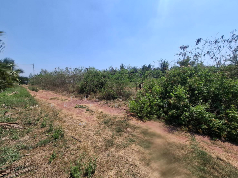 ที่ดินคูบัว ราชบุรี, Ratchaburi, Khu Bua, Muang Ratchaburi, Ratchaburi, , 480 sqm, Land For Sale, by The Best Property อิ๋ว, 500172757 - DDproperty.com