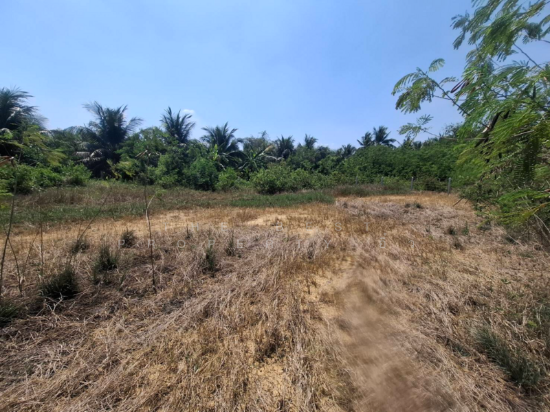 ที่ดินคูบัว ราชบุรี, Ratchaburi, Khu Bua, Muang Ratchaburi, Ratchaburi, , 480 sqm, Land For Sale, by The Best Property อิ๋ว, 500172757 - DDproperty.com