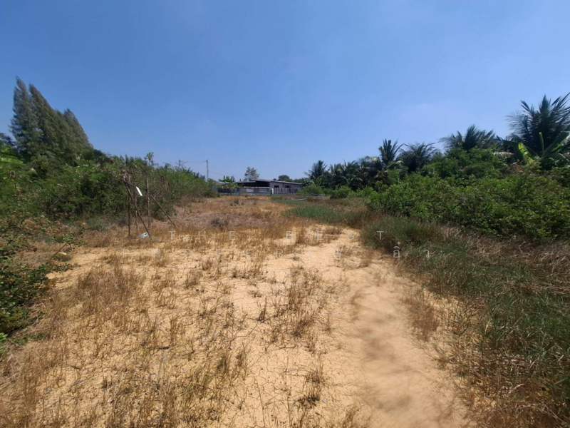 ที่ดินคูบัว ราชบุรี, Ratchaburi, Khu Bua, Muang Ratchaburi, Ratchaburi, , 480 sqm, Land For Sale, by The Best Property อิ๋ว, 500172757 - DDproperty.com