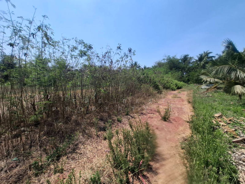 ที่ดินคูบัว ราชบุรี, ราชบุรี, คูบัว, เมืองราชบุรี, ราชบุรี, 480 ตร.ม., ที่ดิน ขาย, โดย The Best Property อิ๋ว, 500172757 - DDproperty.com