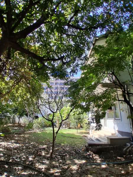 ให้เช่าบ้านพร้อมที่ดิน ซอยเชื้อเพลิง ยานนาวา 464 ตรว. ค่าเช่า 150,000 บาท/เดือน, กรุงเทพ, เชื้อเพลิง, ช่องนนทรี, ยานนาวา, กรุงเทพ, 800 ตร.ม., บ้านเดี่ยว ให้เช่า, โดย Sasialinda (Muay), 500172827 - DDproperty.com