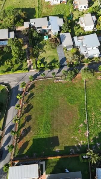 WPDD-086 ขายที่ดินเขาใหญ่ แปลงหัวมุม เนื้อที่ 1 ไร่, Nakhon Ratchasima, Mu Si, Pak Chong, Nakhon Ratchasima, , 1,600 sqm, Land For Sale, by วันวิสาข์ ปัญจรงคะ, 500172961 - DDproperty.com