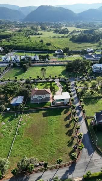 WPDD-086 ขายที่ดินเขาใหญ่ แปลงหัวมุม เนื้อที่ 1 ไร่, Nakhon Ratchasima, Mu Si, Pak Chong, Nakhon Ratchasima, , 1,600 sqm, Land For Sale, by วันวิสาข์ ปัญจรงคะ, 500172961 - DDproperty.com