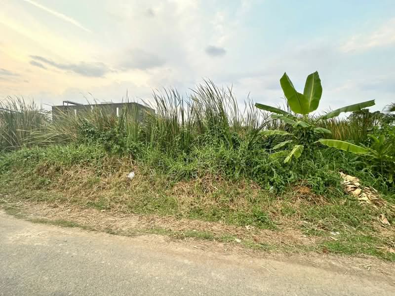 ที่ดินตลิ่งชัน กรุงเทพมหานคร, Bangkok, Bang Ra Mat, Taling Chan, Bangkok, , 252 sqm, Land For Sale, by The Best Property ไก่, 500172985 - DDproperty.com