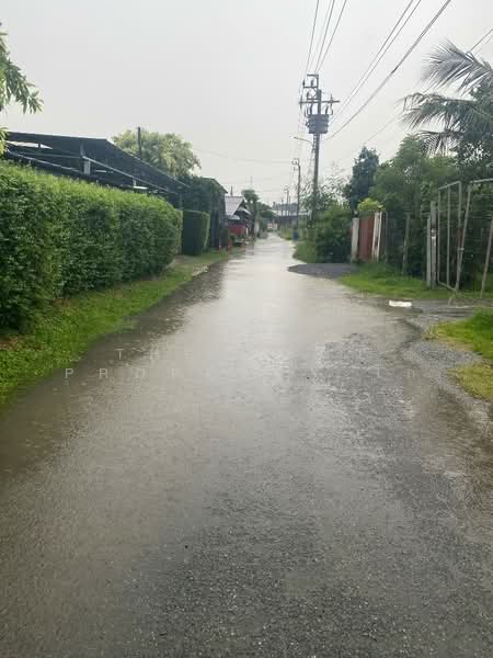 ที่ดินตลิ่งชัน กรุงเทพมหานคร, Bangkok, Bang Ra Mat, Taling Chan, Bangkok, , 252 sqm, Land For Sale, by The Best Property ไก่, 500172985 - DDproperty.com