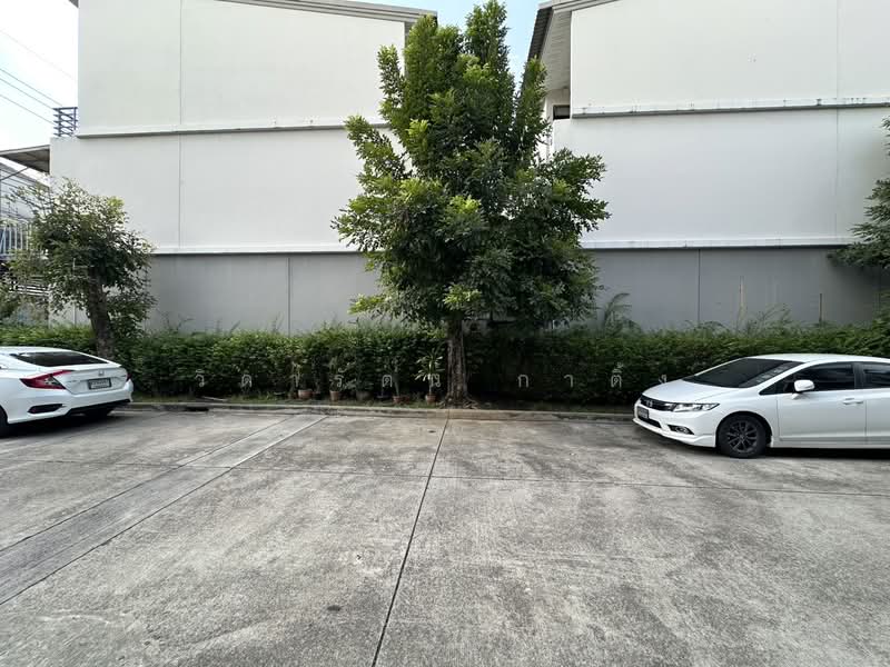 J Grand Sathorn-Kalapapruek : เจ แกรนด์ สาทร-กัลปพฤกษ์, กรุงเทพ, ถนนกัลปพฤกษ์, บางแค, บางแค, กรุงเทพ, 161 ตร.ม., ทาวน์เฮ้าส์ ขาย, โดย วิดารัตน์ กาติ้ง, 500173004 - DDproperty.com