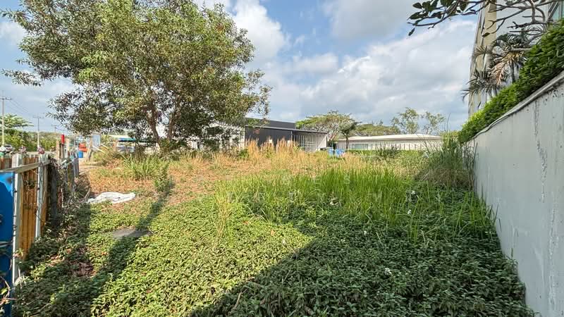 For Sale - ที่ดินวัดใหม่ จันทบุรี, Chanthaburi