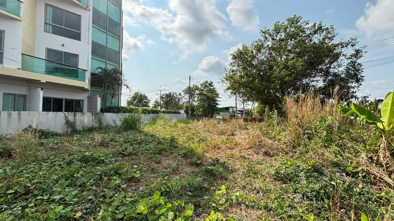 ขาย - ที่ดินวัดใหม่ จันทบุรี, จันทบุรี