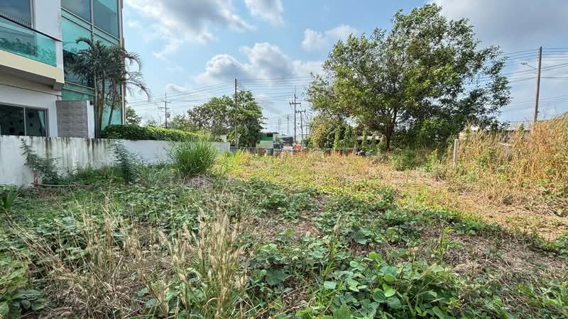 ขาย - ที่ดินวัดใหม่ จันทบุรี, จันทบุรี