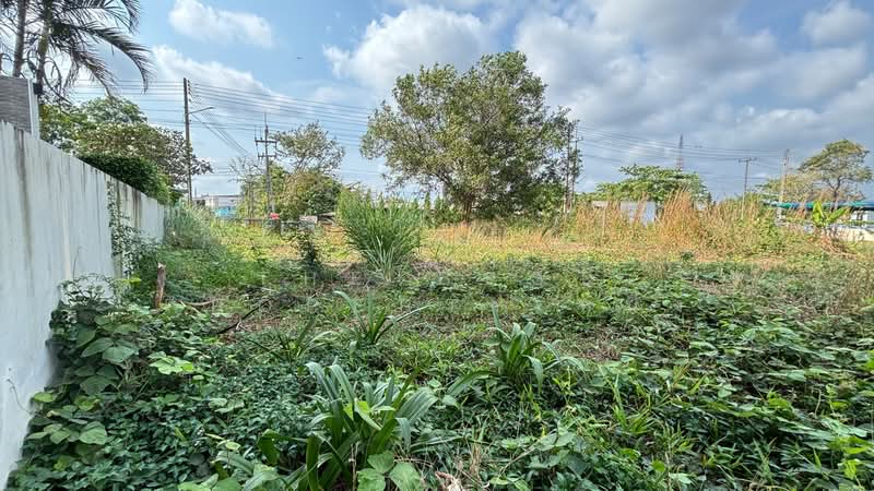 For Sale - ที่ดินวัดใหม่ จันทบุรี, Chanthaburi