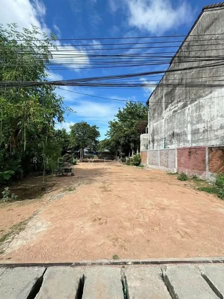 ขายที่ดินบางเสร่ถมแล้วฝั่งทะเล 132 ตรว. หลังโรงเรียนบางเสร่ ใกล้ถ.สุขุมวิท3-150เมตร, ชลบุรี, บางเสร่, สัตหีบ, ชลบุรี, 528 ตร.ม., ที่ดิน ขาย, โดย richwellinter, 500173172 - DDproperty.com