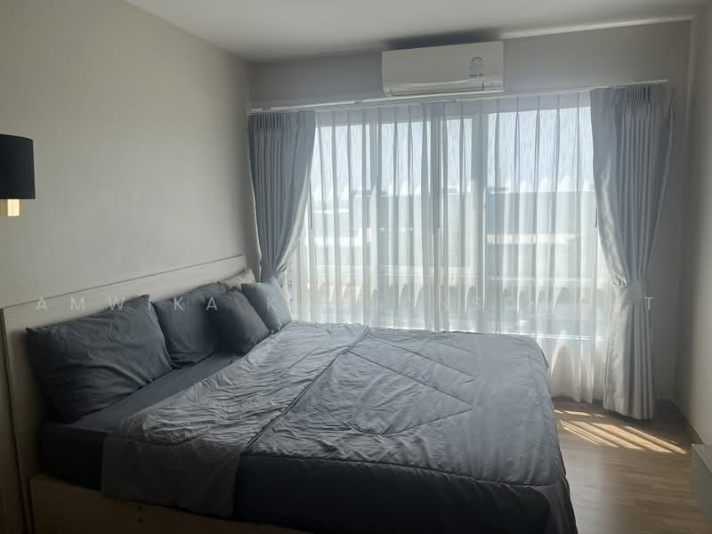 Be Condo Phaholyothin, Pathum Thani, Phaholyothin Road, Khlong Nung, Khlong Luang, Pathum Thani, 1 Bedroom, 30 sqm, Condo For Rent, by Uptown Assets Co., Ltd, 500173230 - DDproperty.com