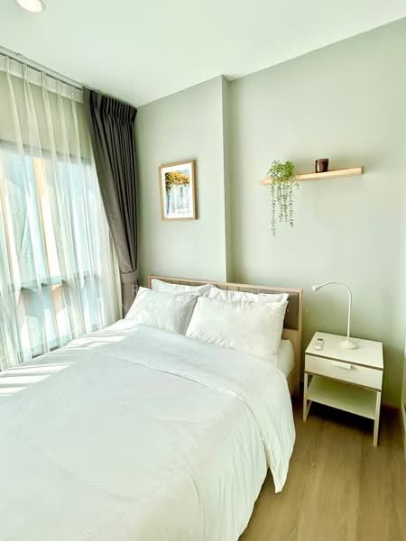 The Tree Sukhumvit 71-Ekamai, Bangkok, 1269 Sukhumvit 71 Road, Suan Luang, Suan Luang, Bangkok, 1 Bedroom, 30 sqm, Condo For Rent, by Trinnaya Dungsirisangthong, 500173355 - DDproperty.com