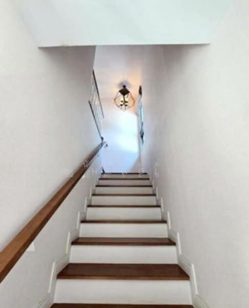 Burasiri Pattanakarn, Bangkok, New Pattanakarn Road, Prawet, Prawet, Bangkok, 4 Bedrooms, 250 sqm, Single Detached House For Sale, by Gun Henglite , 500173492 - DDproperty.com