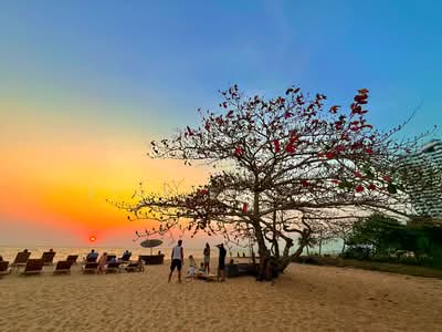 ขาย - Grand Florida Beachfront : แกรนด์ ฟลอริด้า บีชฟร้อนท์, ชลบุรี