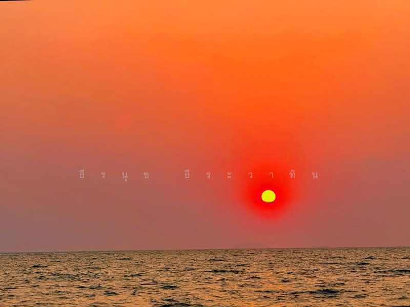 Grand Florida Beachfront : แกรนด์ ฟลอริด้า บีชฟร้อนท์, ชลบุรี, ซอยนาจอมเทียน 14, นาจอมเทียน, สัตหีบ, ชลบุรี, 47 ตร.ม., คอนโด ขาย, โดย ธีรนุช ธีระวาทิน, 500173508 - DDproperty.com