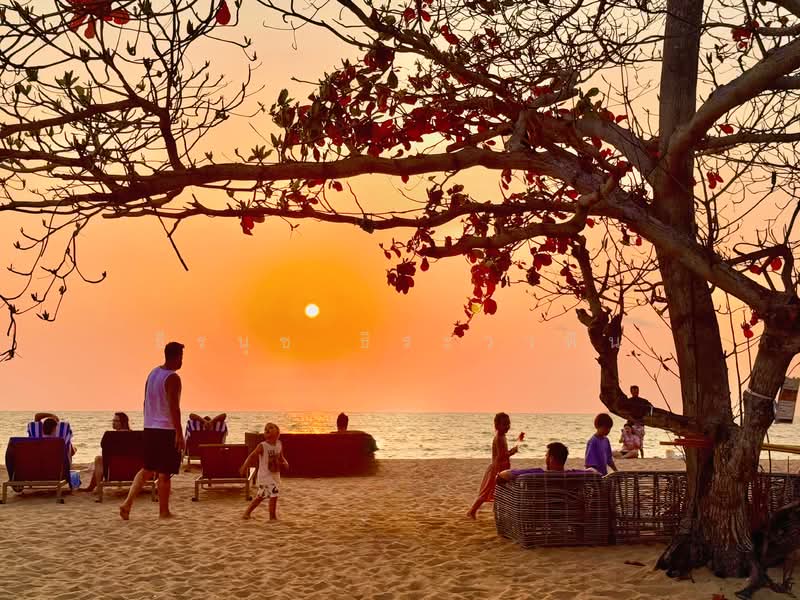 Grand Florida Beachfront, Chon Buri (Pattaya), Soi NaJomtien 14, Na Chom Thian, Sattahip, Chon Buri (Pattaya), 1 Bedroom, 47 sqm, Condo For Sale, by ธีรนุช ธีระวาทิน, 500173508 - DDproperty.com