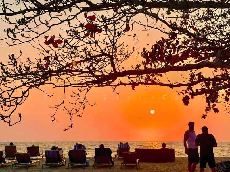 Grand Florida Beachfront, Chon Buri (Pattaya), Soi NaJomtien 14, Na Chom Thian, Sattahip, Chon Buri (Pattaya), 1 Bedroom, 47 sqm, Condo For Sale, by ธีรนุช ธีระวาทิน, 500173508 - DDproperty.com