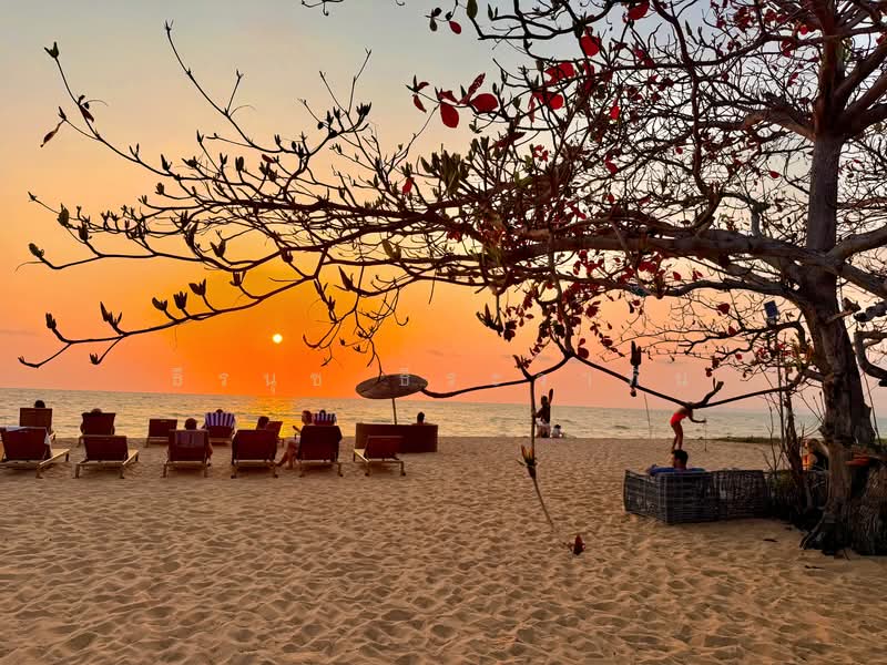 Grand Florida Beachfront : แกรนด์ ฟลอริด้า บีชฟร้อนท์, ชลบุรี, ซอยนาจอมเทียน 14, นาจอมเทียน, สัตหีบ, ชลบุรี, 47 ตร.ม., คอนโด ขาย, โดย ธีรนุช ธีระวาทิน, 500173508 - DDproperty.com