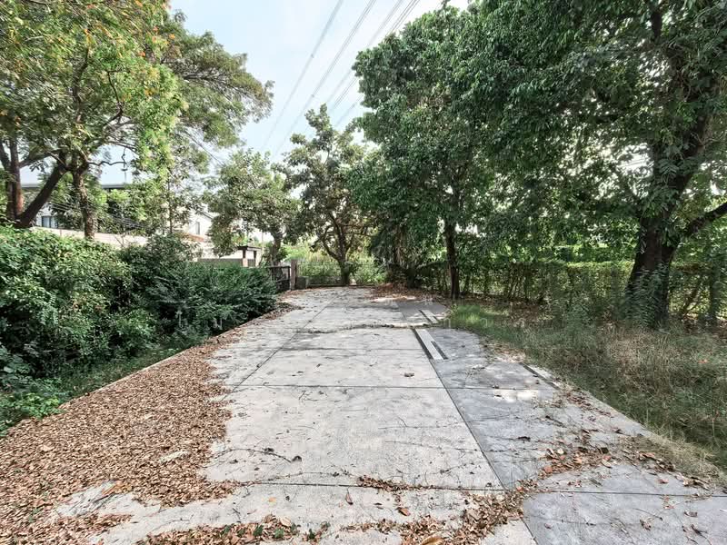 Manthana Onnut–Wongwaen 4 : มัณฑนา อ่อนนุช-วงแหวน 4, กรุงเทพ, ถนนวงแหวนตะวันออก, ประเวศ, ประเวศ, กรุงเทพ, 231 ตร.ม., บ้านเดี่ยว ขาย, โดย รุ่งรัตน์ ไมตรีจิตถาวร, 500173612 - DDproperty.com