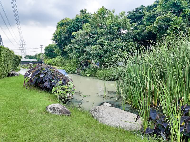 Manthana Onnut–Wongwaen 4, Bangkok, Eastern Ring Road, Prawet, Prawet, Bangkok, 4 Bedrooms, 231 sqm, Single Detached House For Sale, by Roongrat Maitreejittawon, 500173612 - DDproperty.com