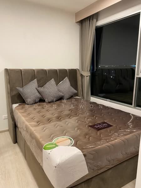 Plum Condo Sukhumvit 62, Bangkok, Sukhumvit 62, Bang Chak, Phra Khanong, Bangkok, 1 Bedroom, 29 sqm, Condo For Rent, by Praewpakar Soontawong, 500173831 - DDproperty.com
