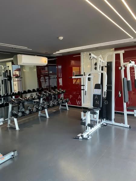 Plum Condo Sukhumvit 62, Bangkok, Sukhumvit 62, Bang Chak, Phra Khanong, Bangkok, 1 Bedroom, 29 sqm, Condo For Rent, by Praewpakar Soontawong, 500173831 - DDproperty.com