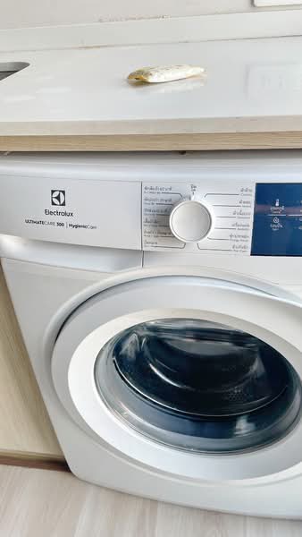 NUE Noble Ngamwongwan, Nonthaburi, Ngamwongwan Road, Bang Khen, Muang Nonthaburi, Nonthaburi, 1 Bedroom, 26 sqm, Condo For Rent, by อรุณ อเนกคุณะ, 500173956 - DDproperty.com