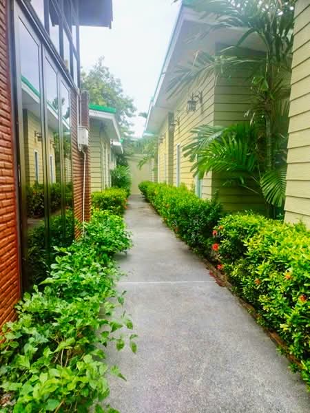 ไม่พบโครงการ, ชลบุรี, สุขุมวิท จอมเทียนสายสอง, หนองปรือ, บางละมุง, ชลบุรี, 2,500 ตร.ม., ตึกแถว-อาคารพาณิชย์ ให้เช่า, โดย ณัฐพงศ์ สุนทรอรุณ, 500174017 - DDproperty.com