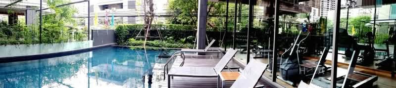 Siamese Thirty Nine, Bangkok, 68 Soi Sukhumvit 39, Sukhumvit Road, Khlong Tan Nua, Watthana, Bangkok, 1 Bedroom, 75 sqm, Condo For Rent, by Pensasi Ongphichetmetha, 500174293 - DDproperty.com