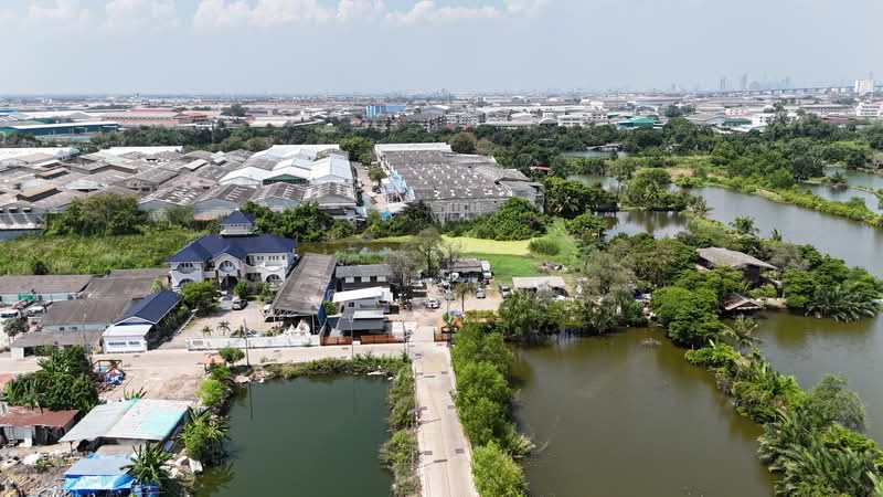 land for sell, Samut Prakan, Bang Chak, Phra Pra Daeng, Samut Prakan, , 536 sqm, Land For Sale, by คุณฝ้าย, 500174318 - DDproperty.com