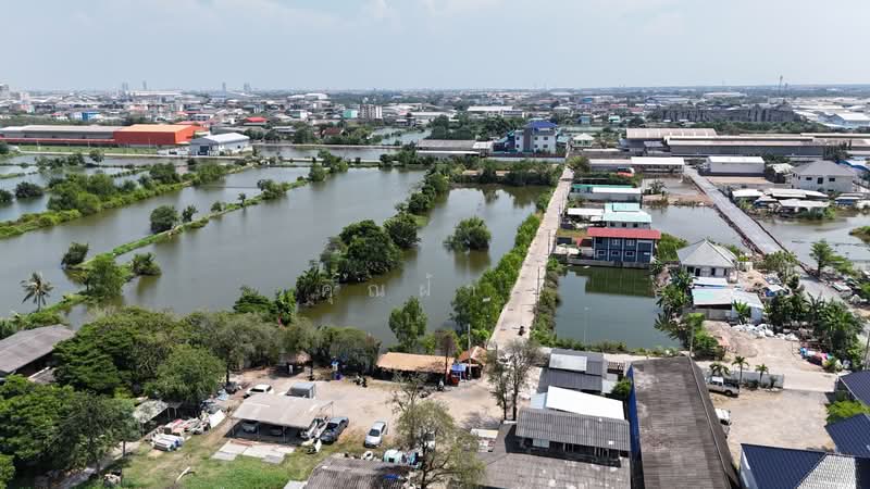 land for sell, Samut Prakan, Bang Chak, Phra Pra Daeng, Samut Prakan, , 536 sqm, Land For Sale, by คุณฝ้าย, 500174318 - DDproperty.com