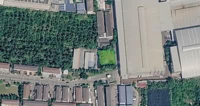 ขาย - Baan Pruksa Phetkasem 91, สมุทรสาคร