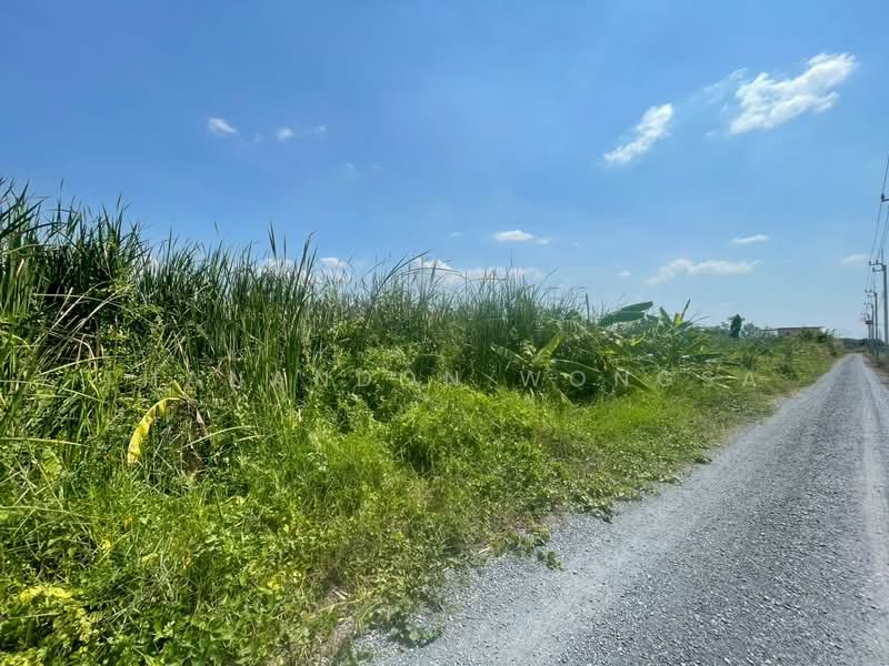 ที่ดินว่างเปล่า ถนน สังฆสันติสุข กระทุ่มราย หนองจอก จังหวัด กรุงเทพมหานคร, กรุงเทพ, สังฆสันติสุข, กระทุ่มราย, หนองจอก, กรุงเทพ, 4,208 ตร.ม., ที่ดิน ขาย, โดย Thanandon Wongsa, 500174669 - DDproperty.com