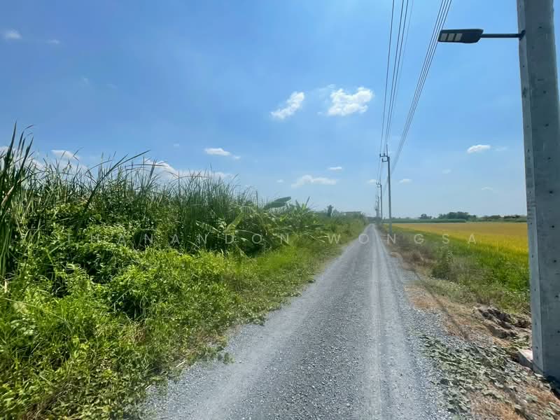 ที่ดินว่างเปล่า ถนน สังฆสันติสุข กระทุ่มราย หนองจอก จังหวัด กรุงเทพมหานคร, กรุงเทพ, สังฆสันติสุข, กระทุ่มราย, หนองจอก, กรุงเทพ, 4,208 ตร.ม., ที่ดิน ขาย, โดย Thanandon Wongsa, 500174669 - DDproperty.com