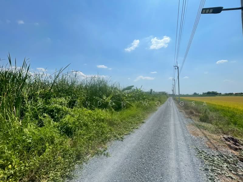 ที่ดินว่างเปล่า ถนน สังฆสันติสุข กระทุ่มราย หนองจอก จังหวัด กรุงเทพมหานคร, กรุงเทพ, สังฆสันติสุข, กระทุ่มราย, หนองจอก, กรุงเทพ, 4,208 ตร.ม., ที่ดิน ขาย, โดย Thanandon Wongsa, 500174669 - DDproperty.com