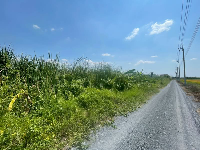 ที่ดินว่างเปล่า ถนน สังฆสันติสุข กระทุ่มราย หนองจอก จังหวัด กรุงเทพมหานคร, Bangkok, สังฆสันติสุข, Krathum Rai, Nong Chok, Bangkok, , 4,208 sqm, Land For Sale, by Thanandon Wongsa, 500174669 - DDproperty.com