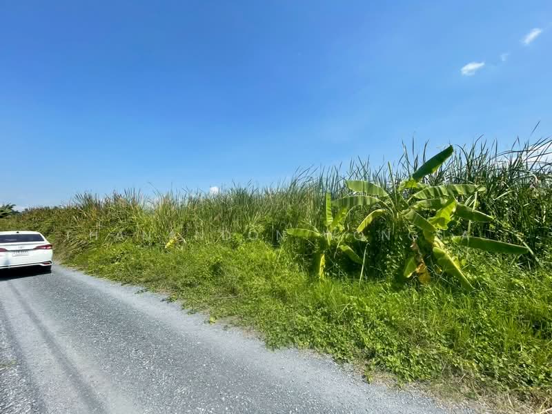 ที่ดินว่างเปล่า ถนน สังฆสันติสุข กระทุ่มราย หนองจอก จังหวัด กรุงเทพมหานคร, Bangkok, สังฆสันติสุข, Krathum Rai, Nong Chok, Bangkok, , 4,208 sqm, Land For Sale, by Thanandon Wongsa, 500174669 - DDproperty.com