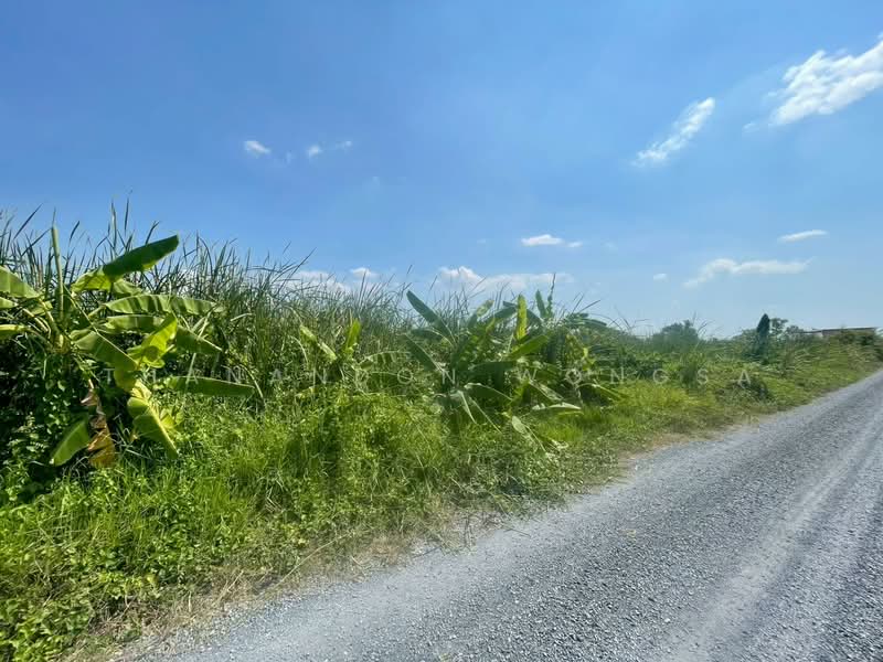 ที่ดินว่างเปล่า ถนน สังฆสันติสุข กระทุ่มราย หนองจอก จังหวัด กรุงเทพมหานคร, กรุงเทพ, สังฆสันติสุข, กระทุ่มราย, หนองจอก, กรุงเทพ, 4,208 ตร.ม., ที่ดิน ขาย, โดย Thanandon Wongsa, 500174669 - DDproperty.com