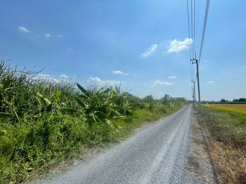 ที่ดินว่างเปล่า ถนน สังฆสันติสุข กระทุ่มราย หนองจอก จังหวัด กรุงเทพมหานคร, กรุงเทพ, สังฆสันติสุข, กระทุ่มราย, หนองจอก, กรุงเทพ, 4,208 ตร.ม., ที่ดิน ขาย, โดย Thanandon Wongsa, 500174669 - DDproperty.com