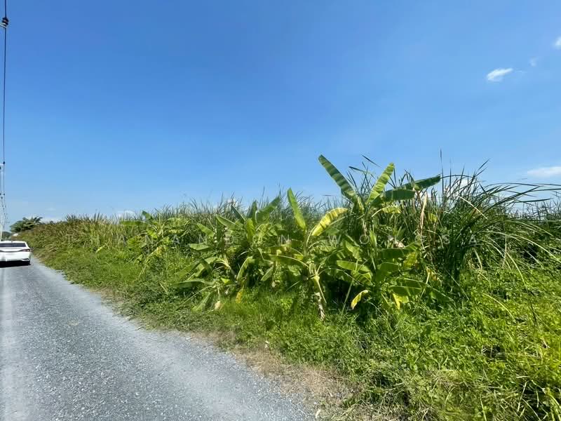 ที่ดินว่างเปล่า ถนน สังฆสันติสุข กระทุ่มราย หนองจอก จังหวัด กรุงเทพมหานคร, Bangkok, สังฆสันติสุข, Krathum Rai, Nong Chok, Bangkok, , 4,208 sqm, Land For Sale, by Thanandon Wongsa, 500174669 - DDproperty.com