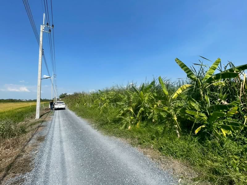 ที่ดินว่างเปล่า ถนน สังฆสันติสุข กระทุ่มราย หนองจอก จังหวัด กรุงเทพมหานคร, Bangkok, สังฆสันติสุข, Krathum Rai, Nong Chok, Bangkok, , 4,208 sqm, Land For Sale, by Thanandon Wongsa, 500174669 - DDproperty.com