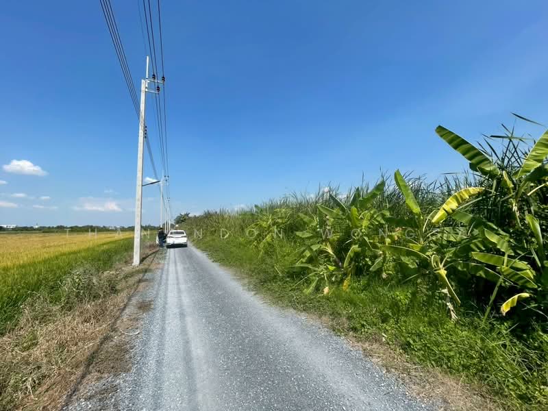 ที่ดินว่างเปล่า ถนน สังฆสันติสุข กระทุ่มราย หนองจอก จังหวัด กรุงเทพมหานคร, Bangkok, สังฆสันติสุข, Krathum Rai, Nong Chok, Bangkok, , 4,208 sqm, Land For Sale, by Thanandon Wongsa, 500174669 - DDproperty.com