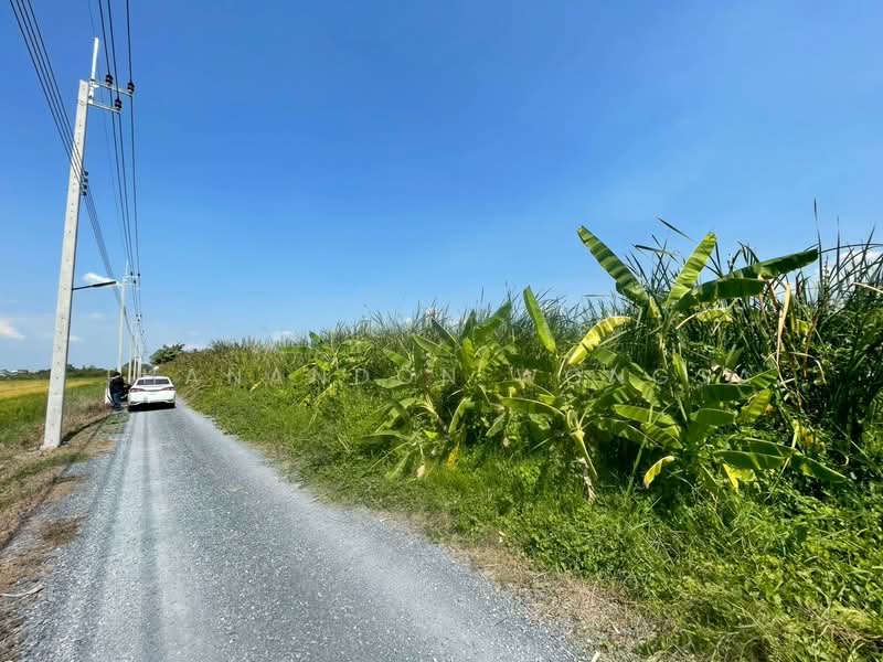 ที่ดินว่างเปล่า ถนน สังฆสันติสุข กระทุ่มราย หนองจอก จังหวัด กรุงเทพมหานคร, Bangkok, สังฆสันติสุข, Krathum Rai, Nong Chok, Bangkok, , 4,208 sqm, Land For Sale, by Thanandon Wongsa, 500174669 - DDproperty.com