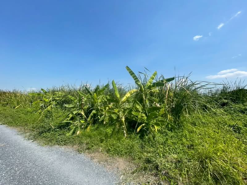 ที่ดินว่างเปล่า ถนน สังฆสันติสุข กระทุ่มราย หนองจอก จังหวัด กรุงเทพมหานคร, กรุงเทพ, สังฆสันติสุข, กระทุ่มราย, หนองจอก, กรุงเทพ, 4,208 ตร.ม., ที่ดิน ขาย, โดย Thanandon Wongsa, 500174669 - DDproperty.com