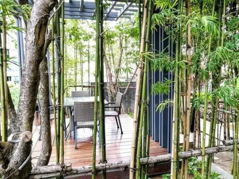 Unixx South Pattaya, Chon Buri (Pattaya), Village No. 12 163, Nong Pru, Bang Lamung (Pattaya), Chon Buri (Pattaya), 1 Bedroom, 35 sqm, Condo For Rent, by Chalisa Kitilimtrakul, 500174733 - DDproperty.com